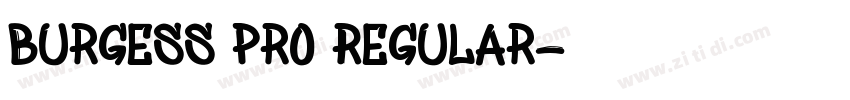 Burgess Pro Regular字体转换